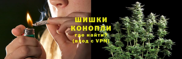 спайс Аркадак