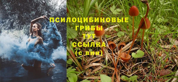 спайс Аркадак